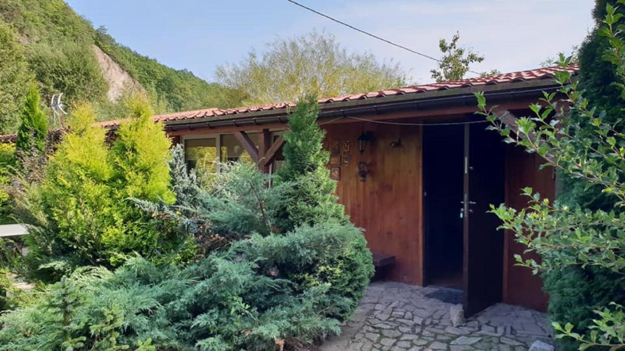 Eden Villa Sedziszowa Exterior photo