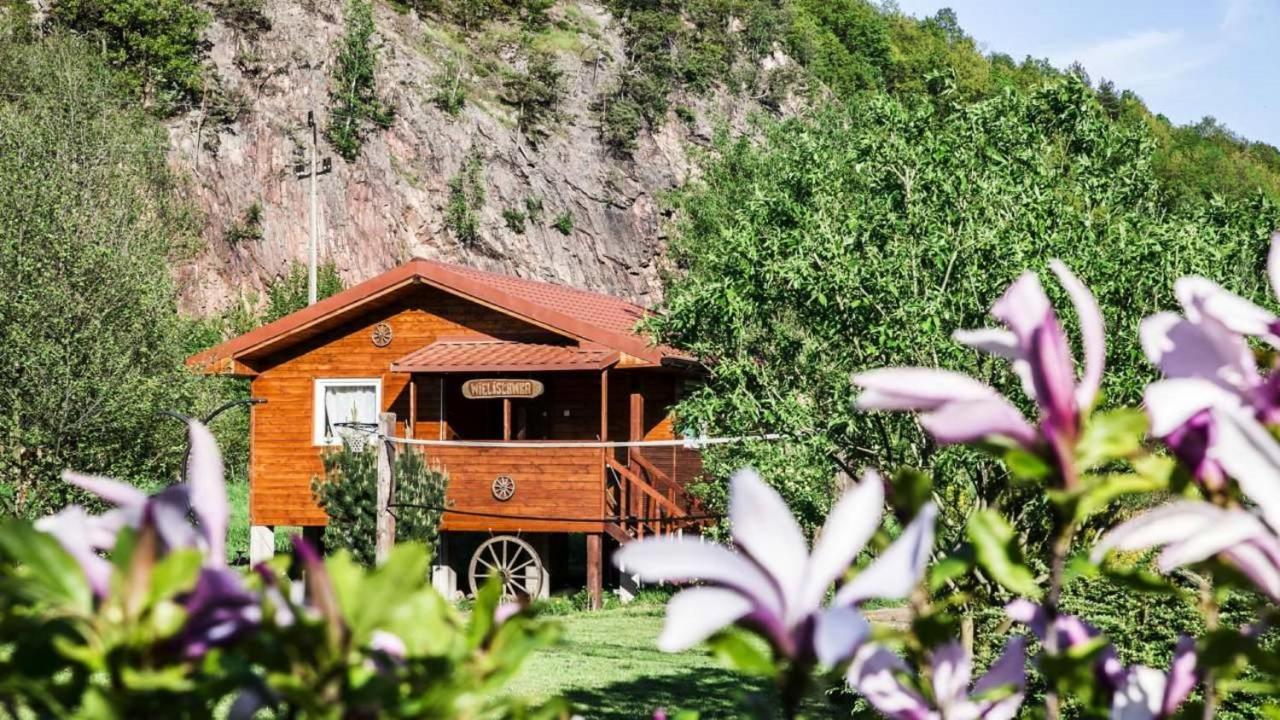 Eden Villa Sedziszowa Exterior photo