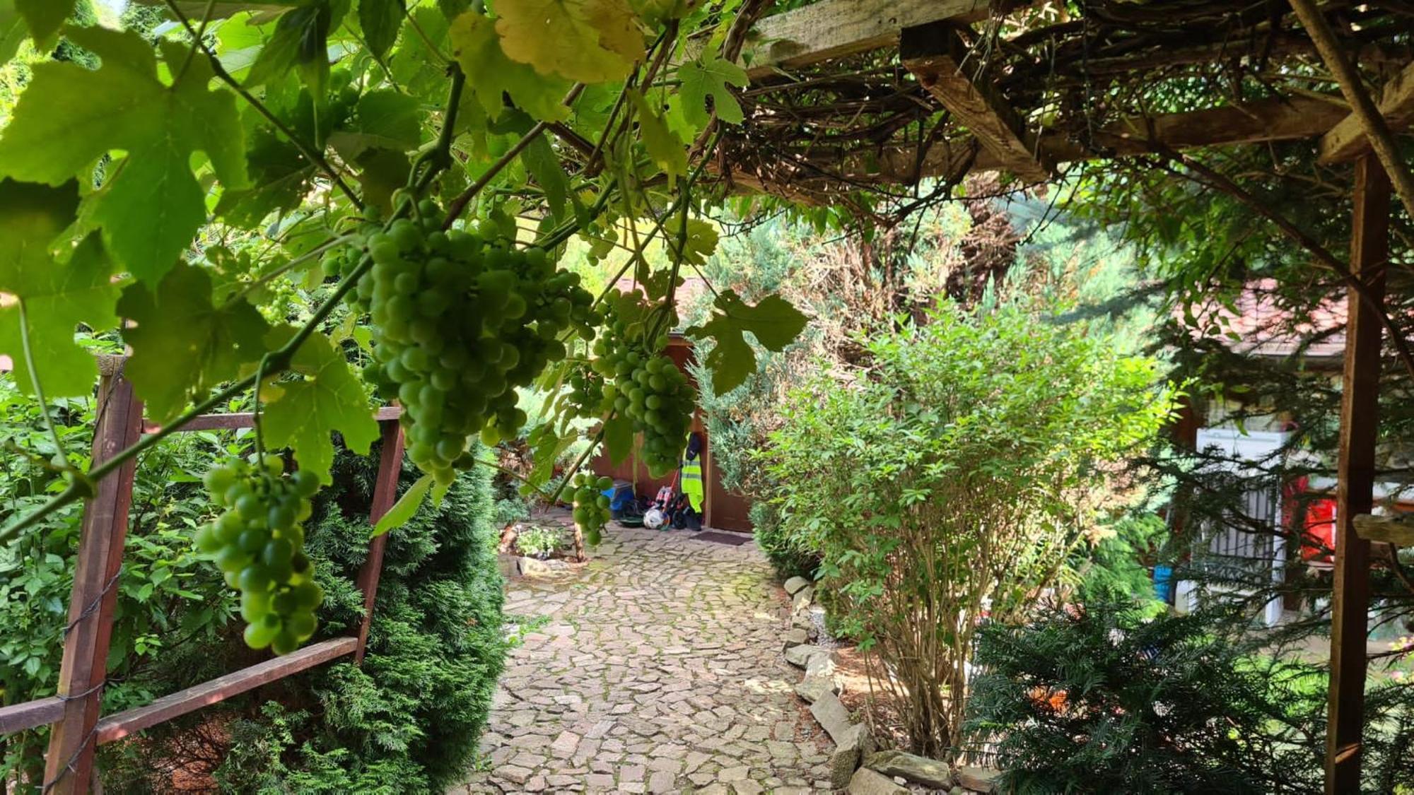 Eden Villa Sedziszowa Exterior photo